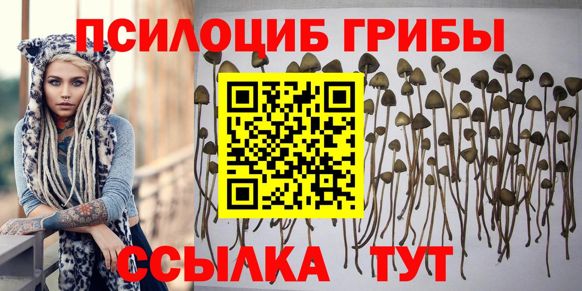 Псилоцибиновые грибы MAGIC MUSHROOMS Лабытнанги